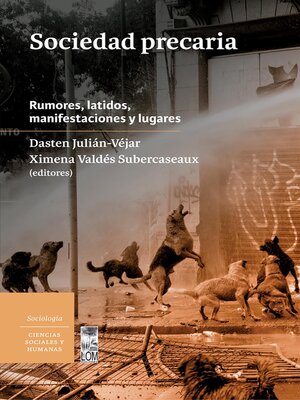 cover image of Sociedad precaria